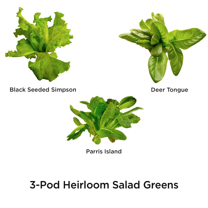 Heirloom Salad Greens Seed Pod Kit image number null